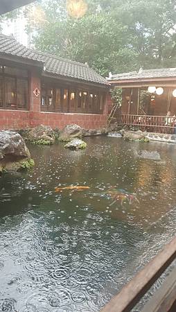 IMG_3482.JPG IMG_3482.JPG