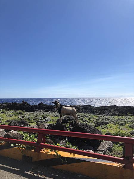 A16A59FA-4EA7-4584-931A-02DAFD2C4721