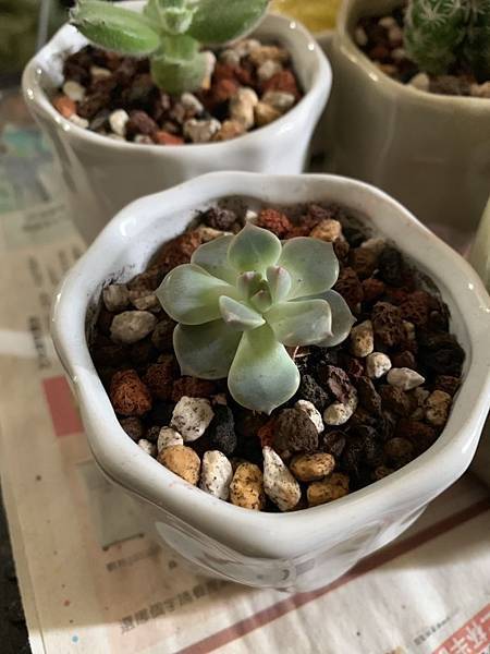 S__3358725.jpg S__3358725.jpg