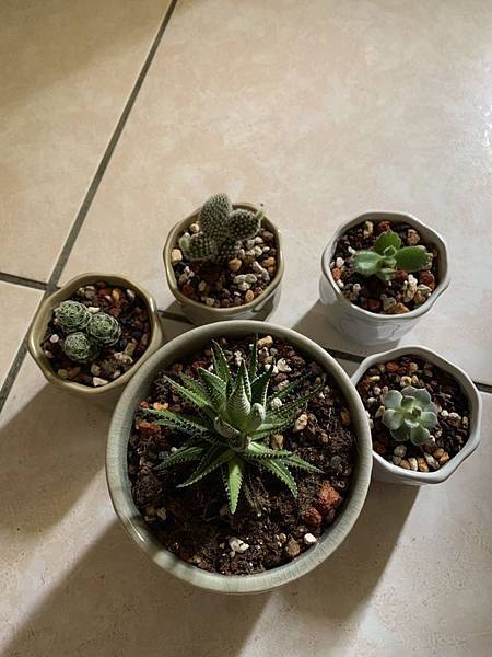 S__3358728.jpg S__3358728.jpg