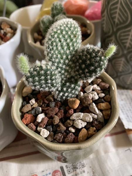 S__3358724.jpg S__3358724.jpg