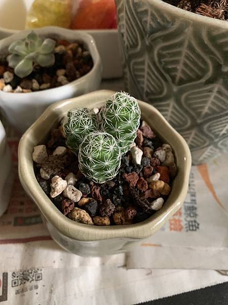 S__3358727.jpg S__3358727.jpg