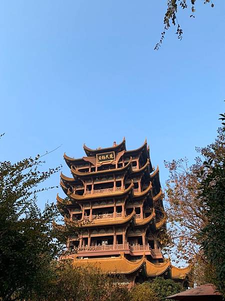 武漢_200107_0075.jpg 武漢_200107_0075.jpg