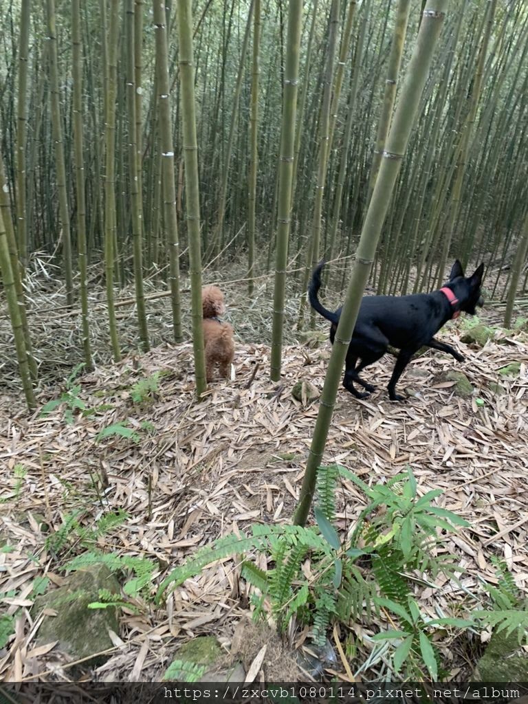 露營16.jpg 露營16.jpg