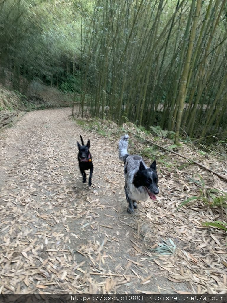 露營15.jpg 露營15.jpg