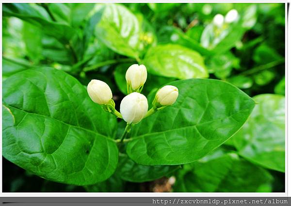 DSC_8405.jpg DSC_8405.jpg