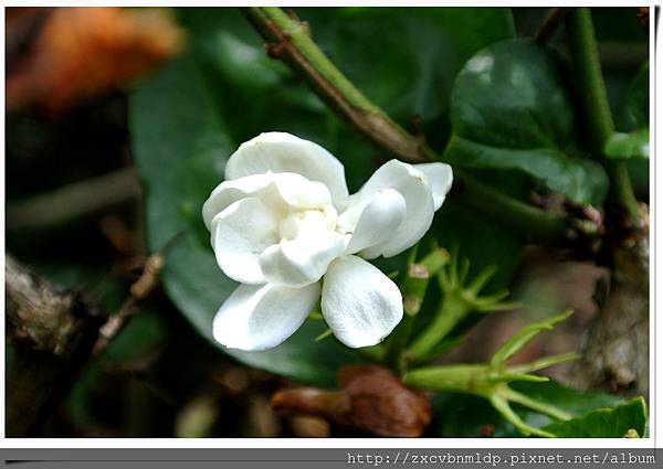 DSC_8406.jpg DSC_8406.jpg