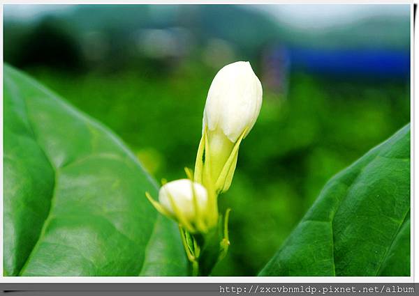 DSC_8414.jpg DSC_8414.jpg