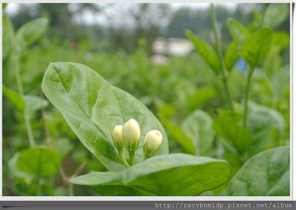 DSC_8418.jpg DSC_8418.jpg