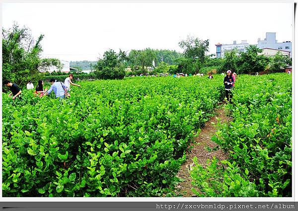 DSC_8420.jpg DSC_8420.jpg