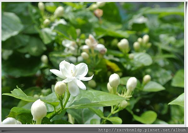 DSC_8422.jpg DSC_8422.jpg