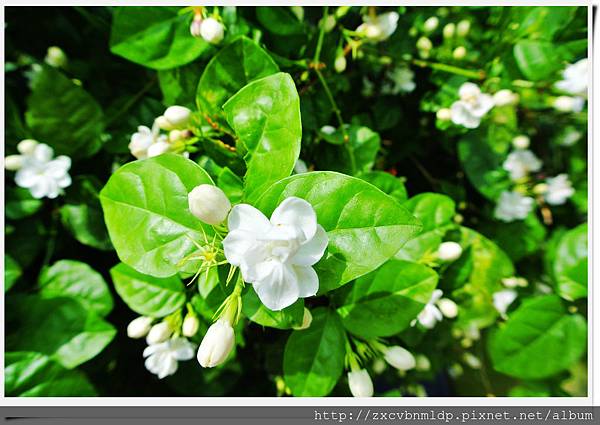 DSC_8424.jpg DSC_8424.jpg