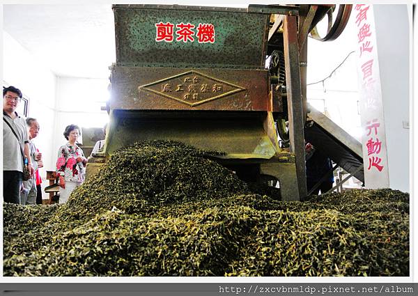 DSC_8426.jpg DSC_8426.jpg