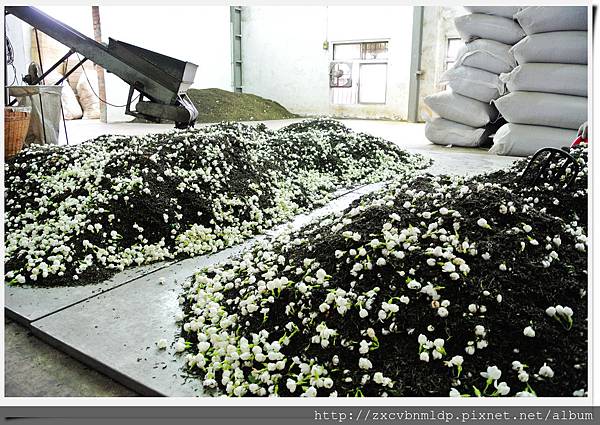 DSC_8433.jpg DSC_8433.jpg