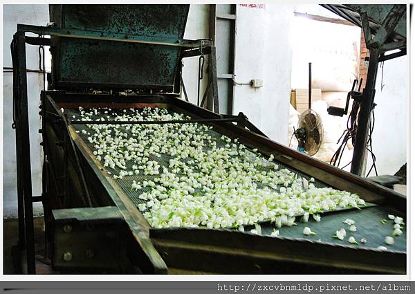 DSC_8434.jpg DSC_8434.jpg