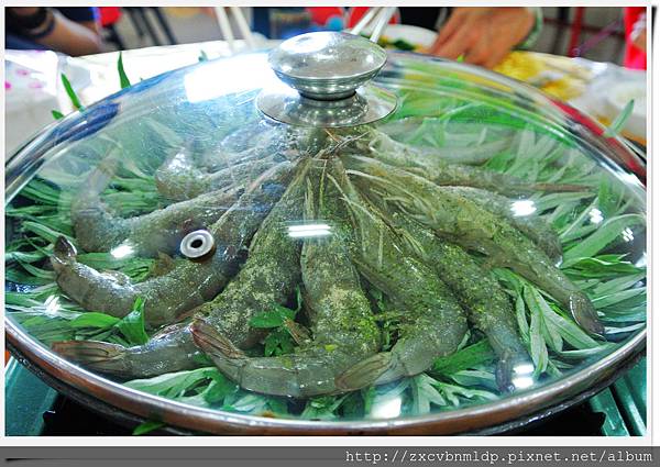 DSC_8443.jpg DSC_8443.jpg