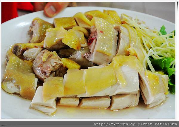 DSC_8445.jpg DSC_8445.jpg