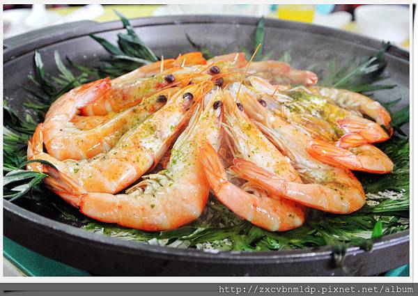 DSC_8450.jpg DSC_8450.jpg