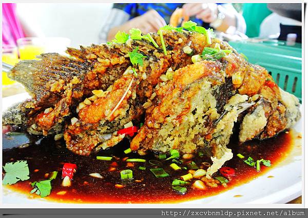 DSC_8456.jpg DSC_8456.jpg