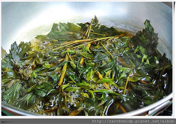 DSC_8476.jpg DSC_8476.jpg