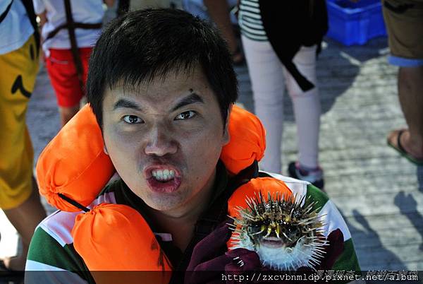 DSC_8880.JPG DSC_8880.JPG