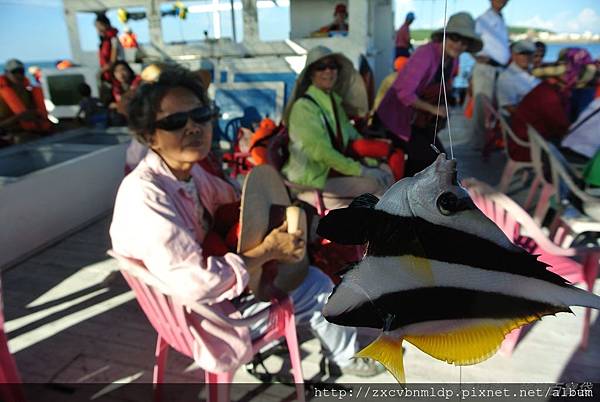 DSC_8978.JPG DSC_8978.JPG