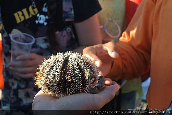 DSC_8988.JPG DSC_8988.JPG