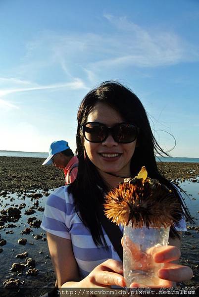 DSC_8990.JPG DSC_8990.JPG