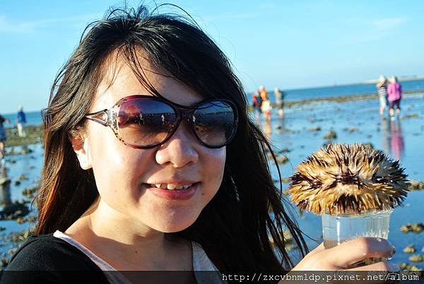 DSC_8993.JPG DSC_8993.JPG