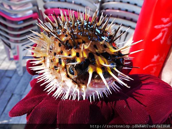 P7130345.JPG P7130345.JPG