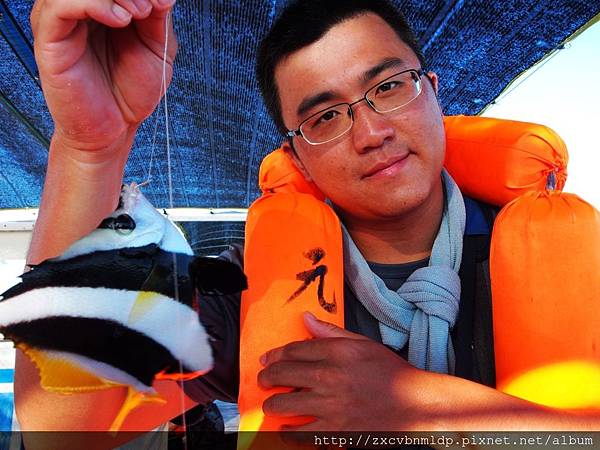 P7130468.JPG P7130468.JPG