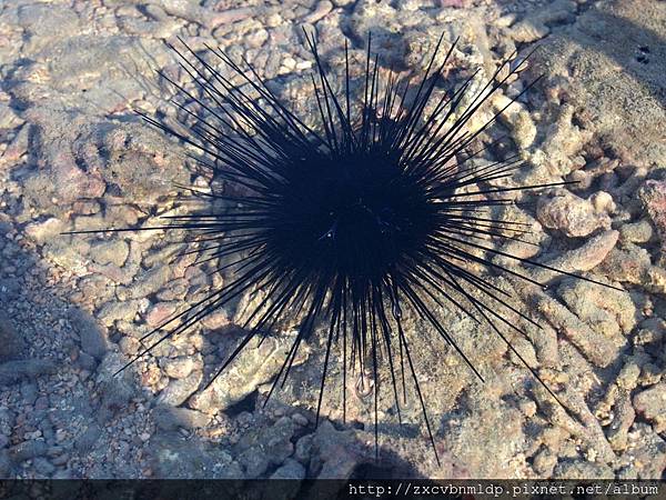 P7130487.JPG P7130487.JPG