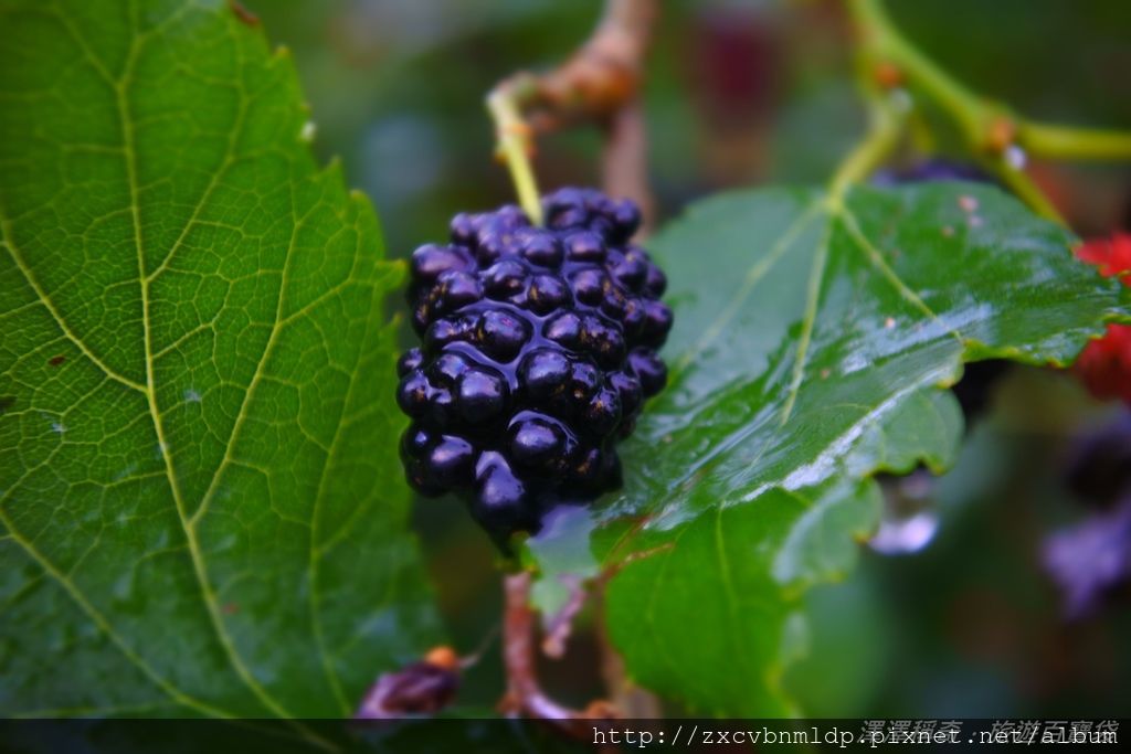 DSC_5126.JPG DSC_5126.JPG