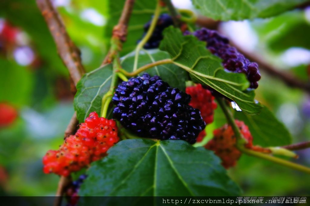 DSC_5129.JPG DSC_5129.JPG