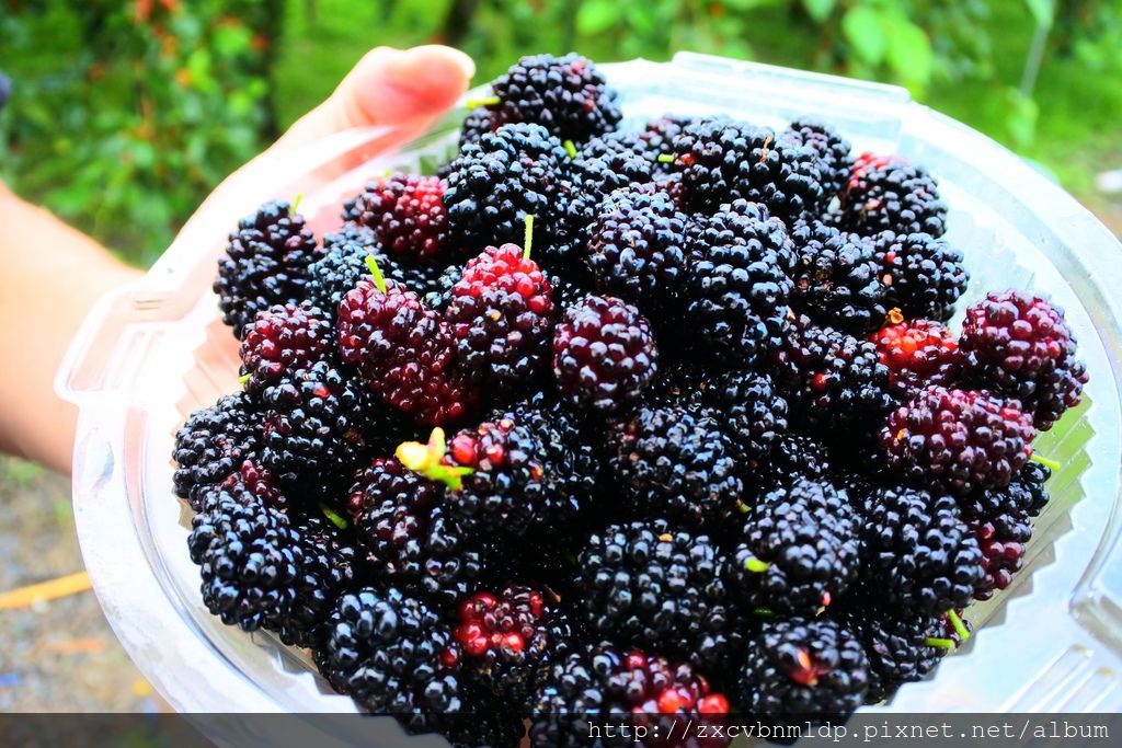 DSC_5142.JPG DSC_5142.JPG