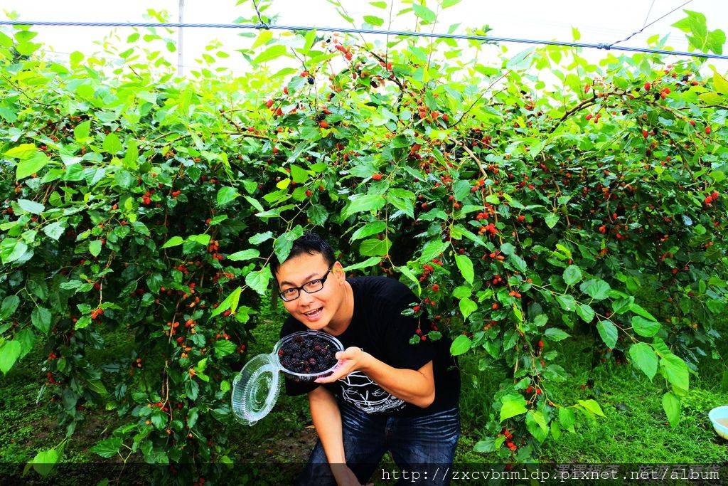 DSC_5141.JPG DSC_5141.JPG