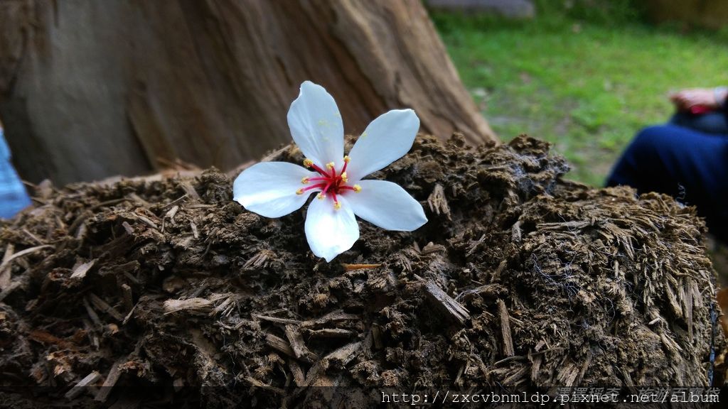 2015-04-25 09.22.15.jpg