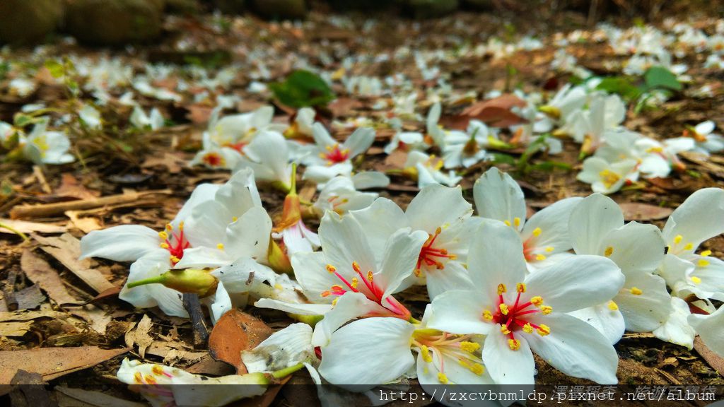 2015-04-25 09.01.57.jpg 2015-04-25 09.01.57.jpg