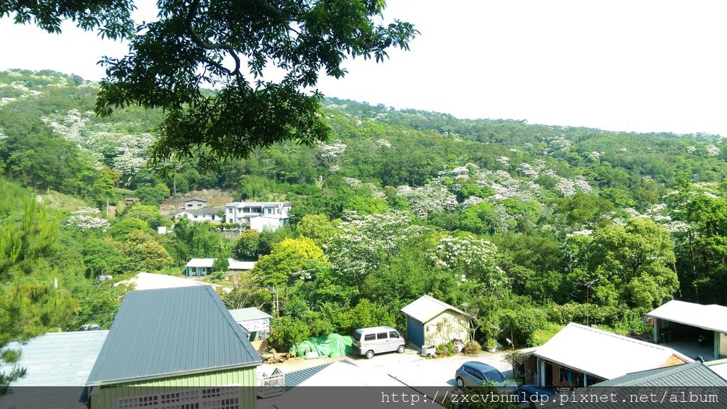 2015-04-25 09.08.13.jpg 2015-04-25 09.08.13.jpg