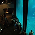 葛西水族館