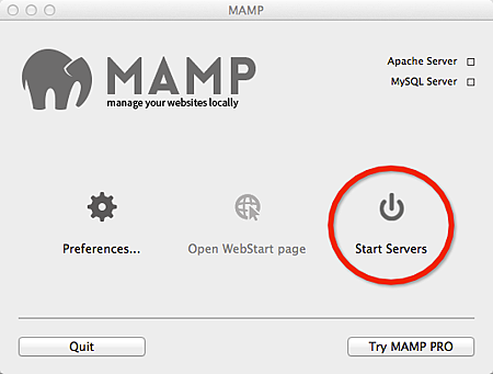 MAMP-1.png