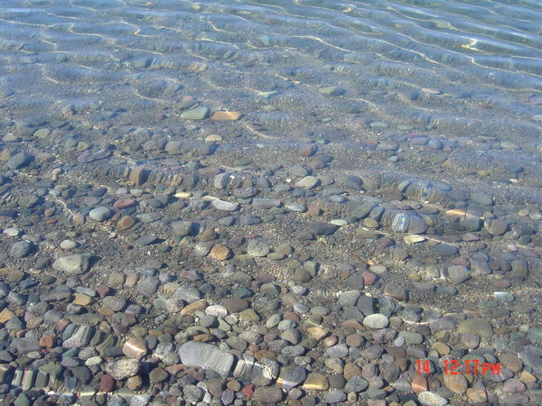 Day_5_The water is clear