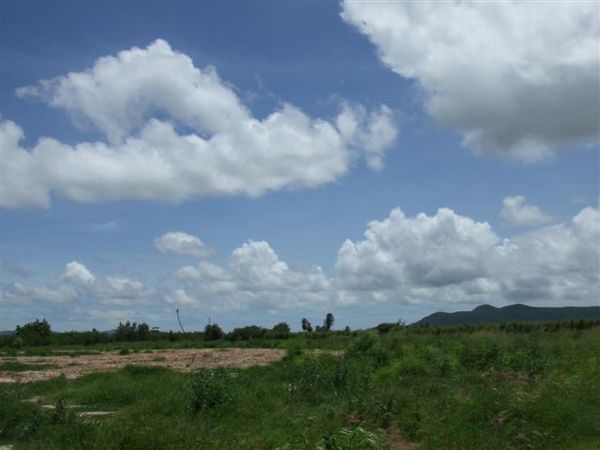 路旁的鄉野風景