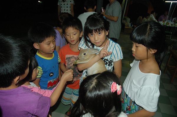 Img2015-08-01 214818.jpg