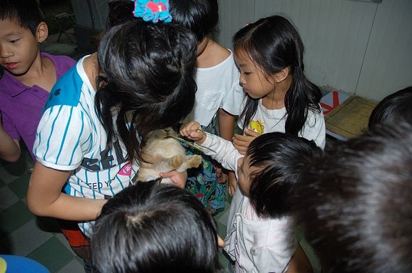 Img2015-08-01 215025.jpg