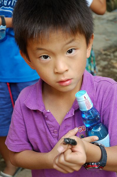 Img2015-08-02 085146.jpg Img2015-08-02 085146.jpg