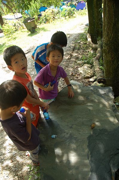 Img2015-08-02 085601.jpg