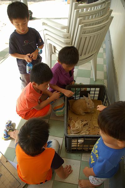 Img2015-08-02 093639.jpg Img2015-08-02 093639.jpg