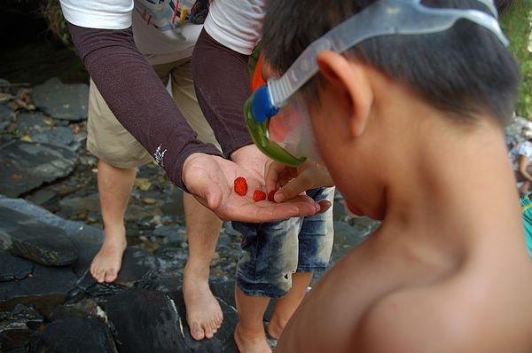 Img2015-08-02 104738.jpg Img2015-08-02 104738.jpg