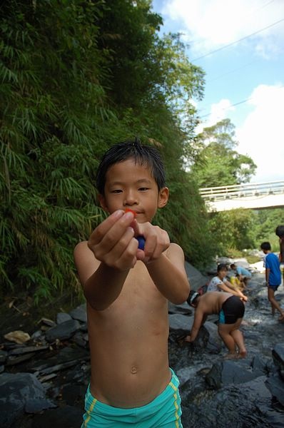 Img2015-08-02 104744.jpg Img2015-08-02 104744.jpg